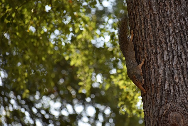 防守能力出 防守能力出