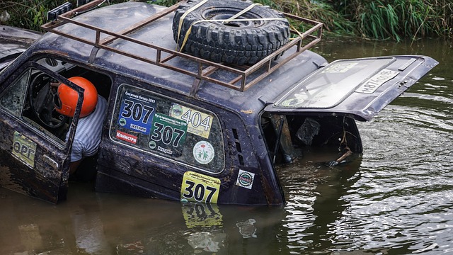 用汗水浇灌 用汗水浇灌