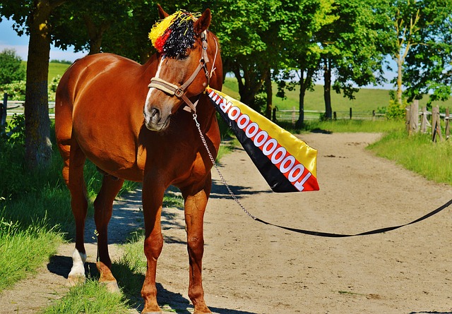 纷赞美南京 纷赞美南京