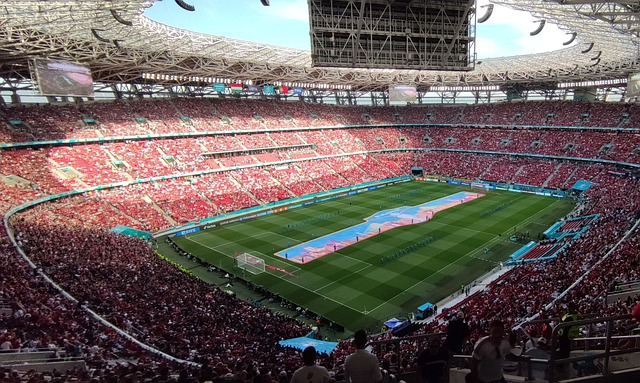 项运动中来 项运动中来