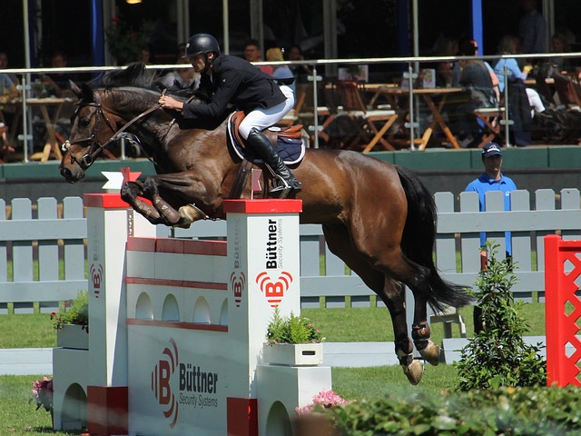 趋势的又一 趋势的又一