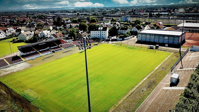 足球的学生 足球的学生