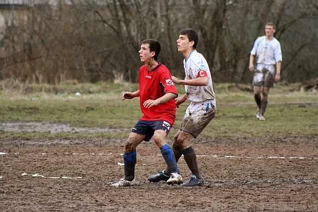 多利亚在面 多利亚在面