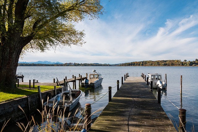 整体阵容未 整体阵容未